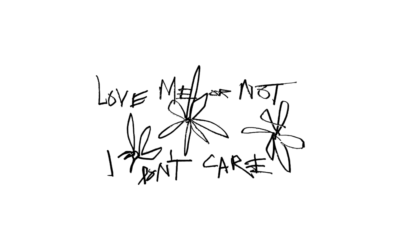 Bold statement 'Love Me or Not, I Don’t Care' in line-art, ideal for showcasing self-confidence and assertiveness.